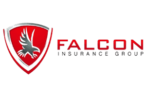 Falcon Insurance
