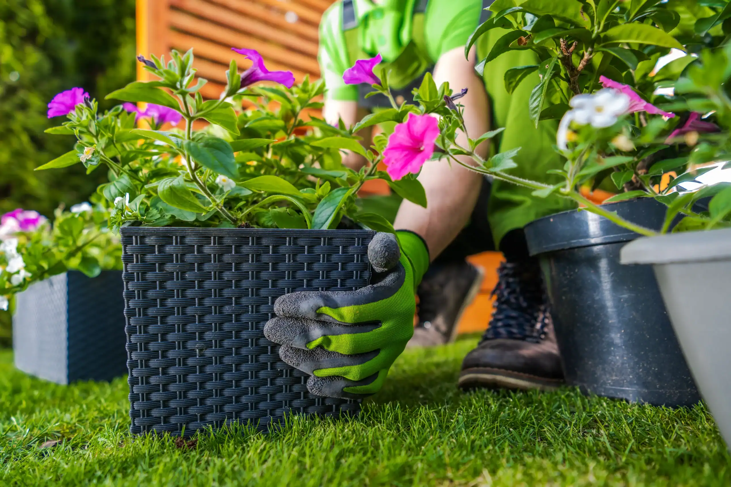 Landscaping Insurance Texas